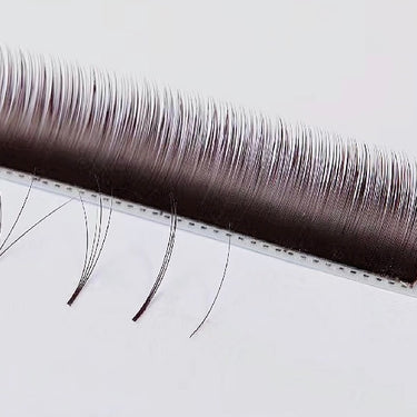 B 0.07 CHESTNUT CAMELLIA LASH (MIX TRAY)