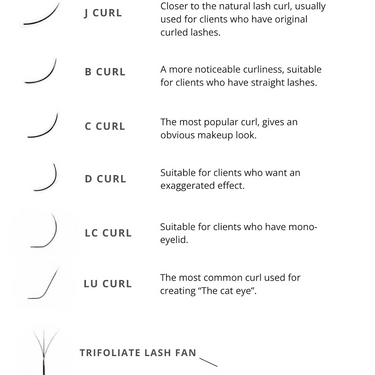 B 0.07 CARAMEL CAMELLIA LASH (MIX TRAY)